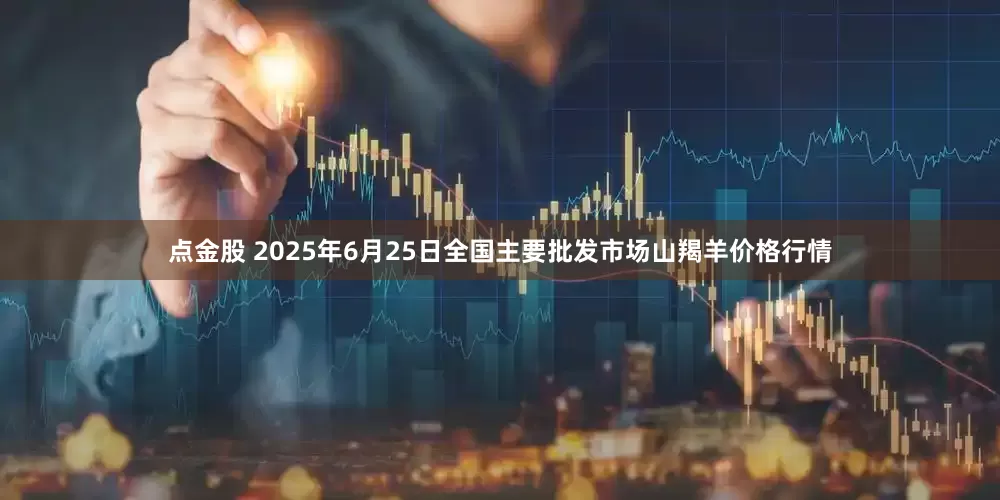 点金股 2025年6月25日全国主要批发市场山羯羊价格行情