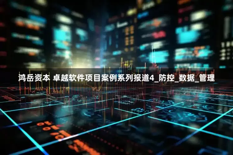 鸿岳资本 卓越软件项目案例系列报道4_防控_数据_管理