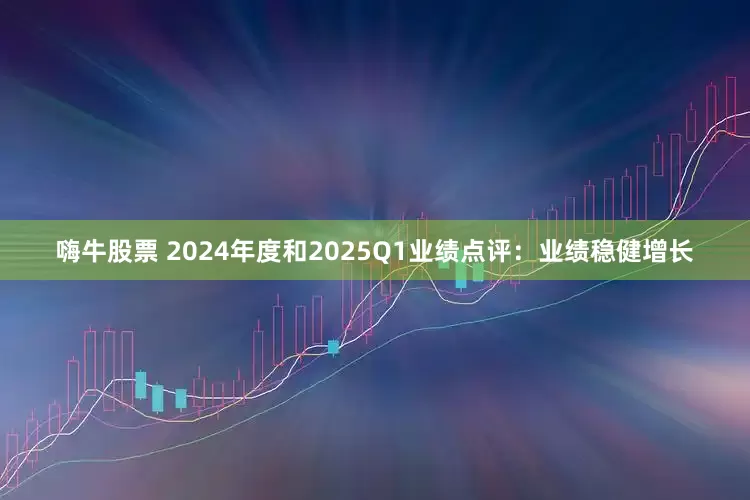 嗨牛股票 2024年度和2025Q1业绩点评：业绩稳健增长