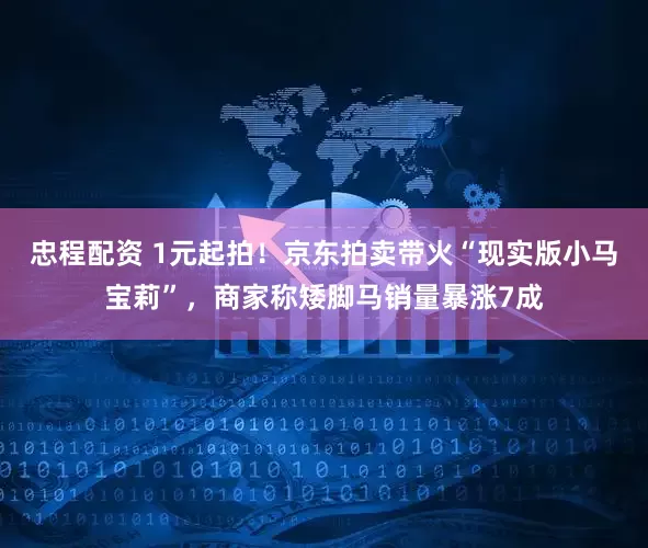 忠程配资 1元起拍！京东拍卖带火“现实版小马宝莉”，商家称矮脚马销量暴涨7成